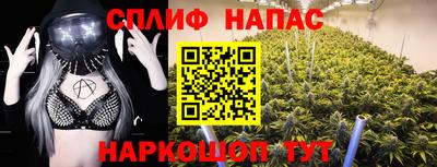 a pvp Будённовск