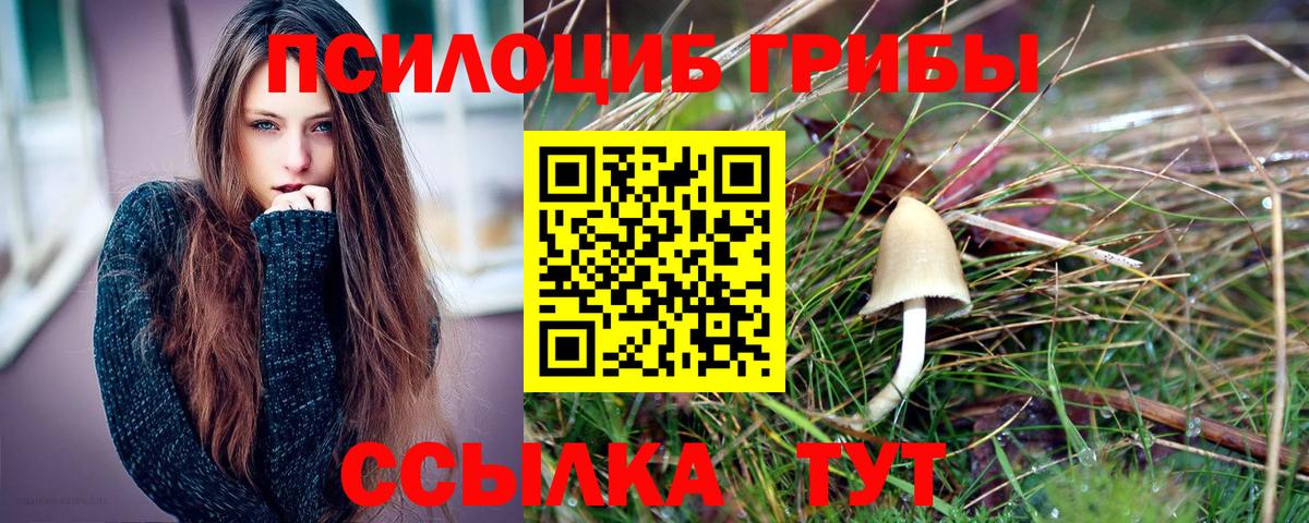 Галлюциногенные грибы мухоморы  Галлюциногенные грибы Psilocybe  Москва  Вход с VPN 